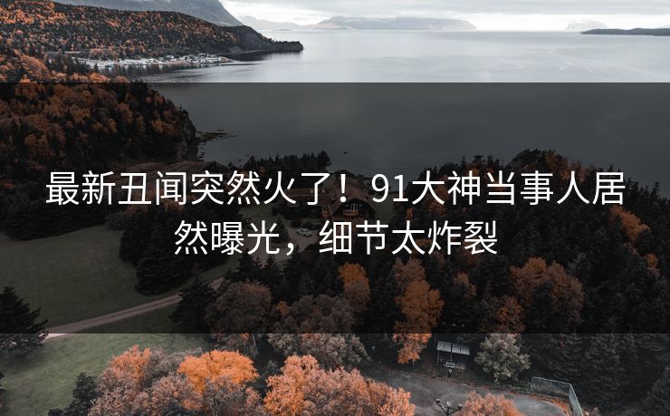 最新丑闻突然火了！91大神当事人居然曝光，细节太炸裂